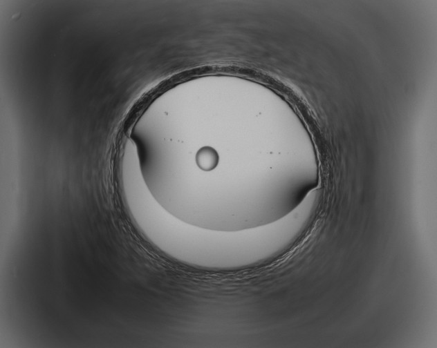 X0000086721263200705111548