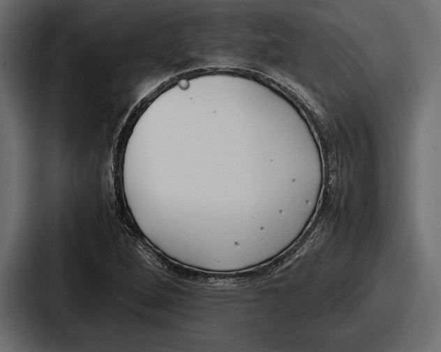 X0000086721264200705111548