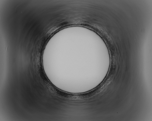 X0000086721265200705111548