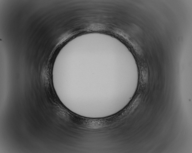 X0000086721266200705111548