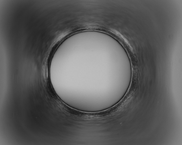 X0000086721269200705111548