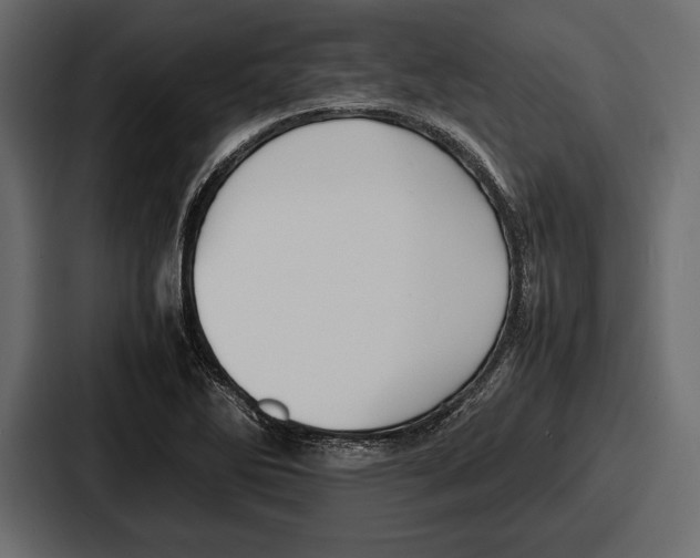 X0000086721270200705111548