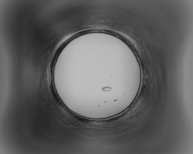 X0000086721271200705111548