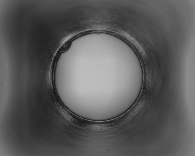 X0000086721272200705111548