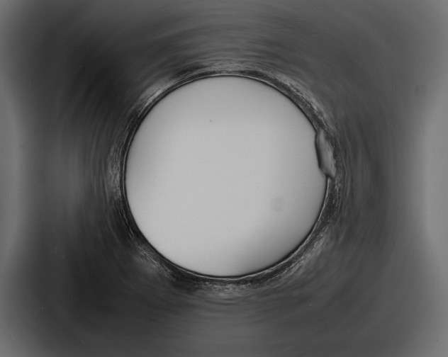 X0000086721273200705111548