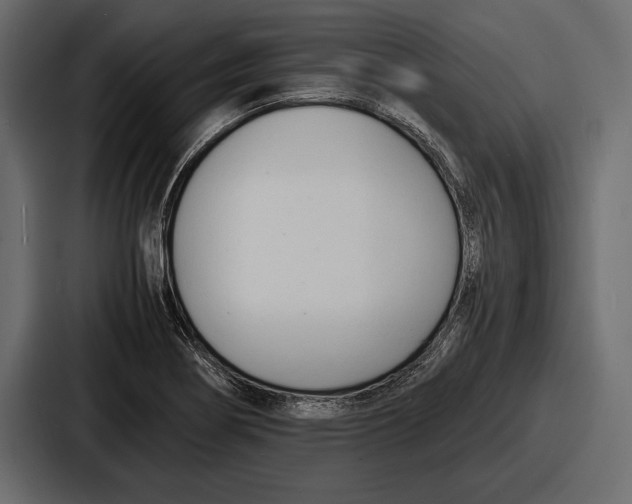 X0000086721274200705111548