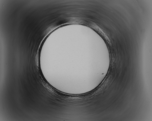 X0000086721276200705111548