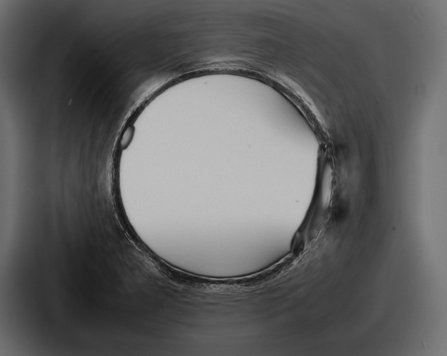 X0000086721277200705111548