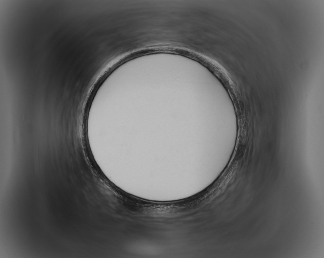 X0000086721279200705111548