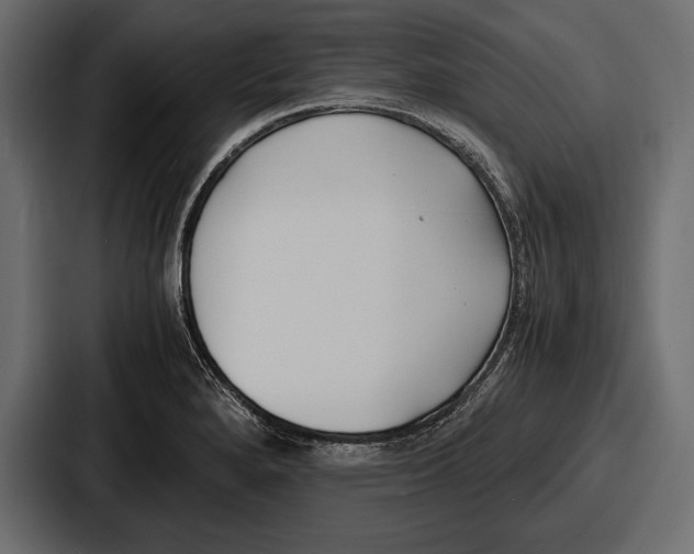 X0000086721280200705111548