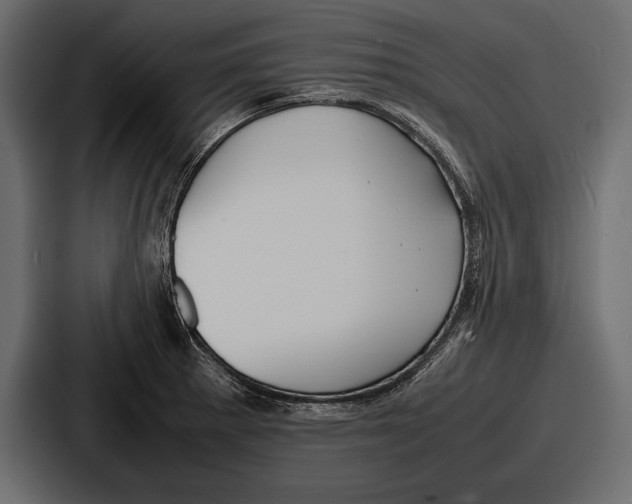 X0000086721281200705111548