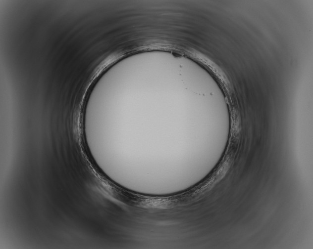 X0000086721282200705111548