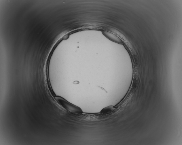 X0000086721283200705111547