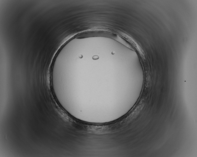 X0000086721284200705111547