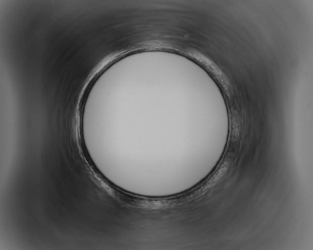 X0000086721286200705111547