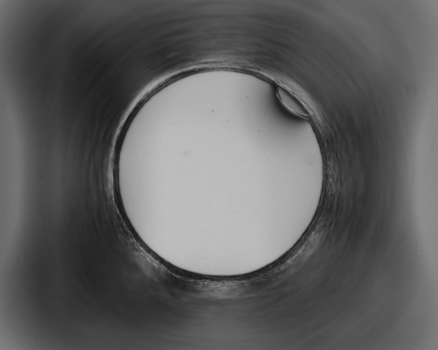 X0000086721288200705111547