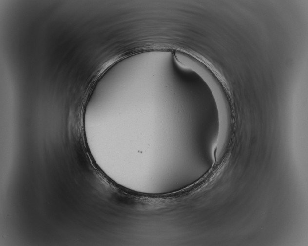 X0000086721289200705111547