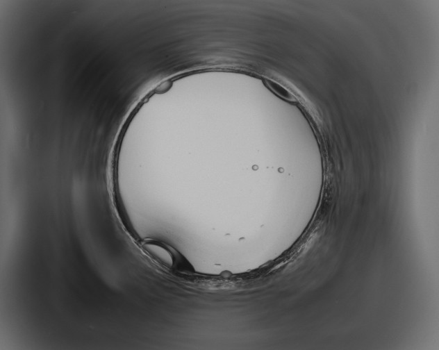 X0000086721291200705111547