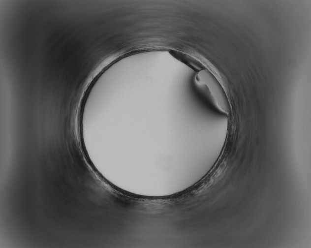 X0000086721293200705111547