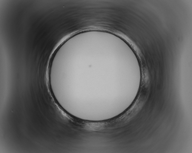 X0000086721294200705111547