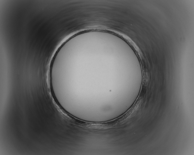 X0000086721295200705111547