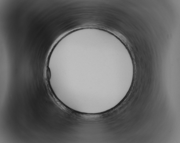 X0000086721296200705111547