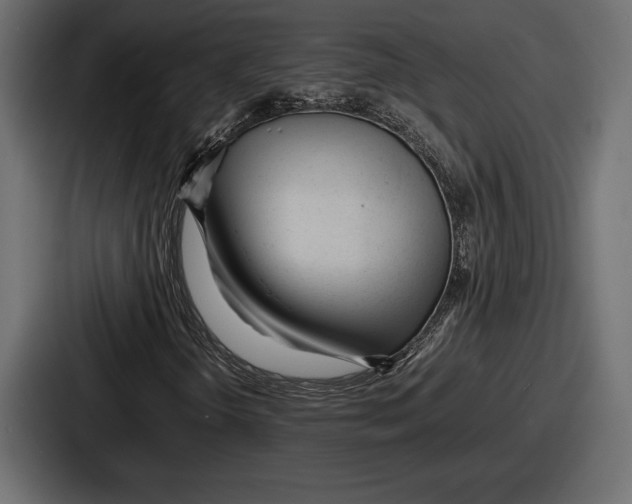 X0000086721298200705111547