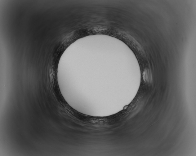 X0000086721299200705111547