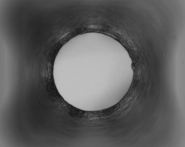 X0000086721301200705111547