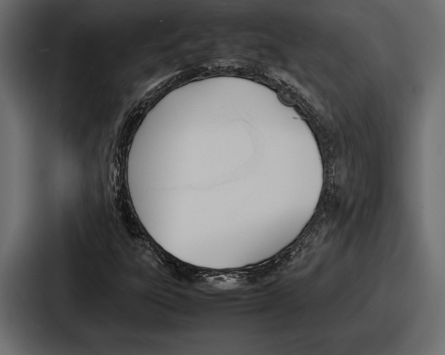 X0000086721303200705111547