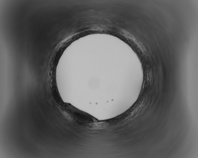 X0000086721304200705111547