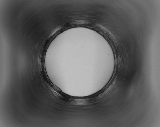 X0000086721305200705111547