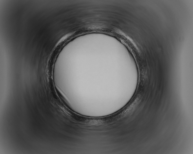 X0000086721306200705111547