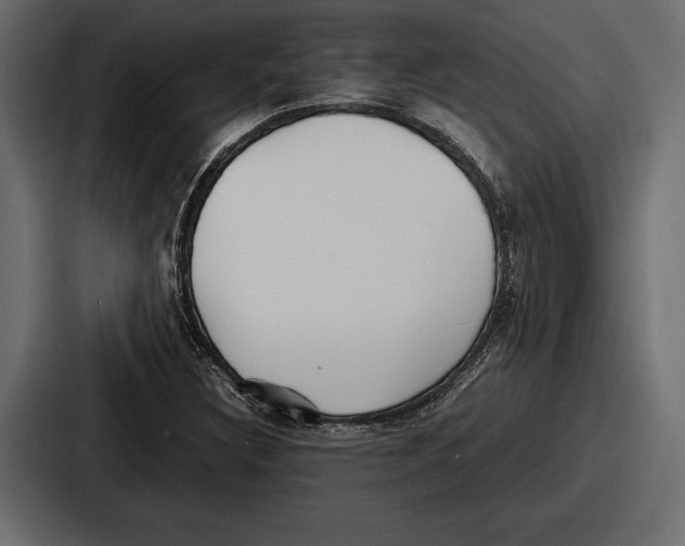 X0000086721308200705111547