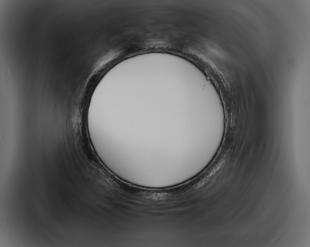 X0000086721309200705111547