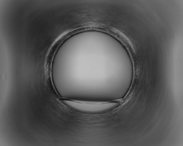 X0000086721310200705111547