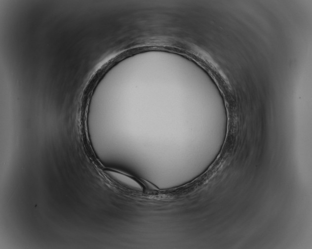 X0000086721312200705111547