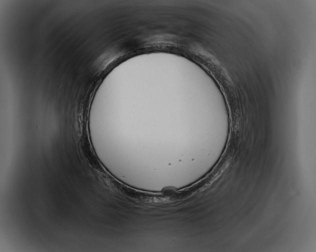 X0000086721313200705111547