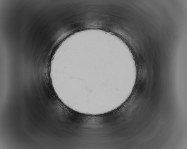 X0000086721314200705111547