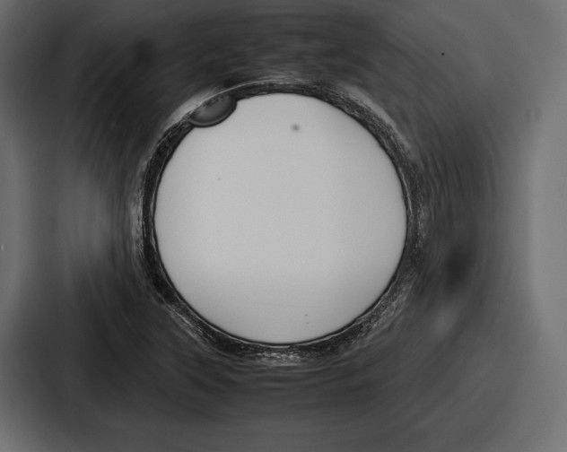 X0000086721315200705111547