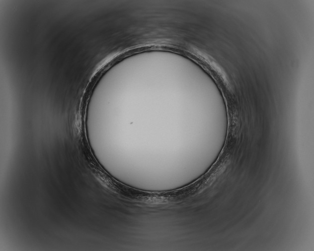 X0000086721316200705111547