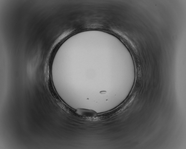 X0000086721317200705111547