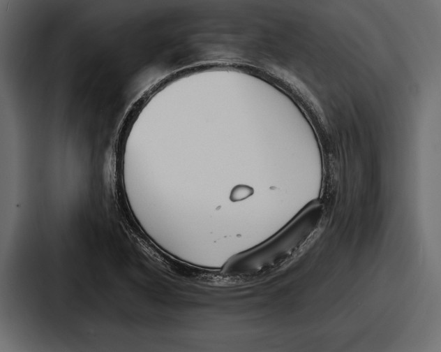 X0000086721318200705111547