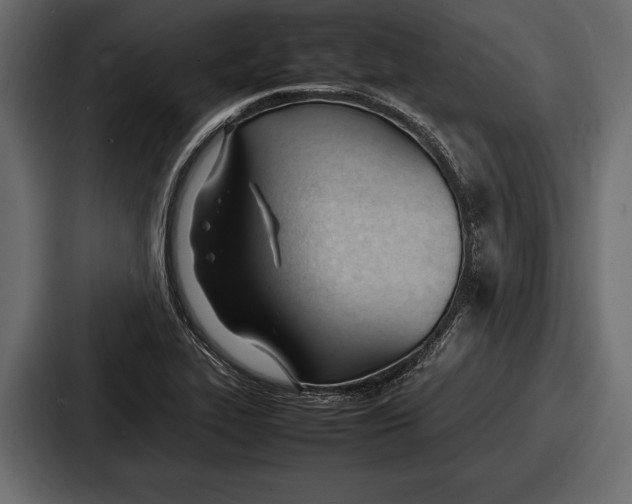 X0000086721319200705111547