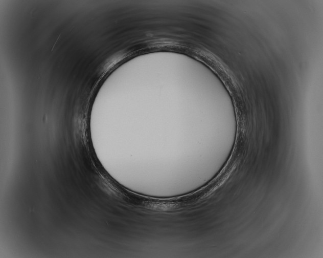 X0000086721321200705111547