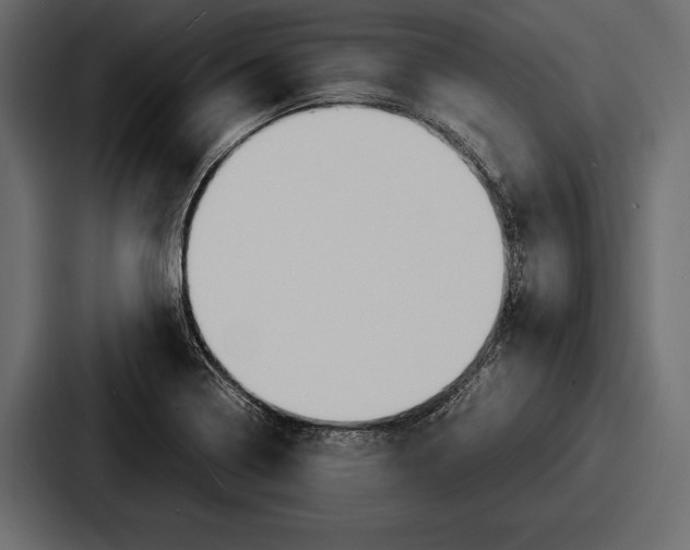 X0000086721322200705111547