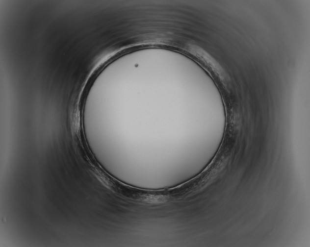 X0000086721324200705111547