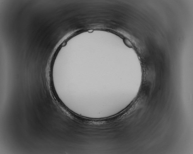 X0000086721325200705111547