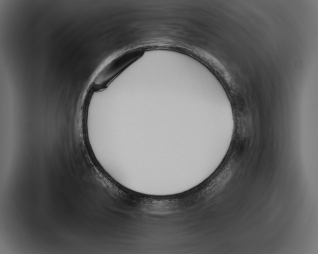 X0000086721326200705111547