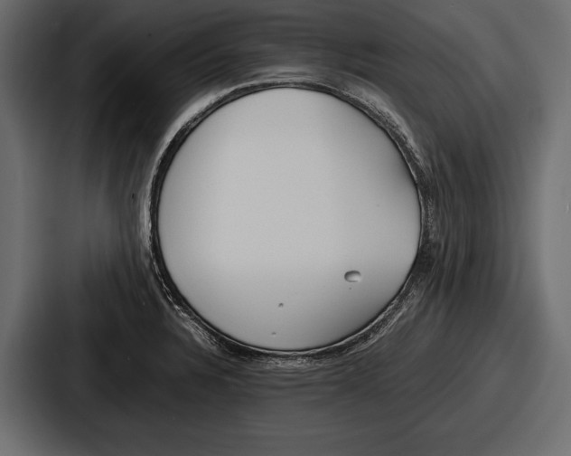 X0000086721328200705111547